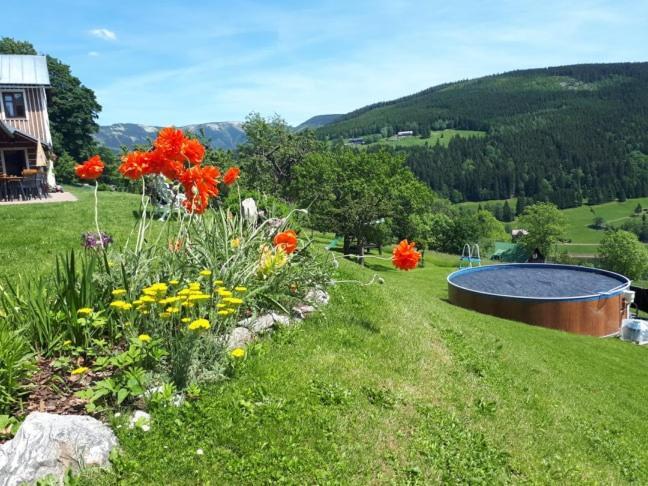 U Novotnych 2* Špindlerŭv Mlýn